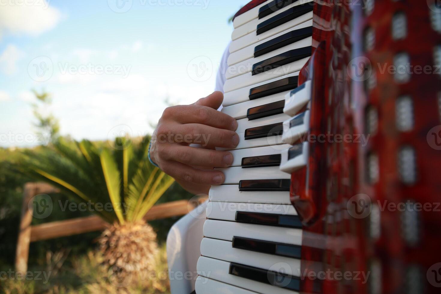 Hand On The Vintage Accordion photo