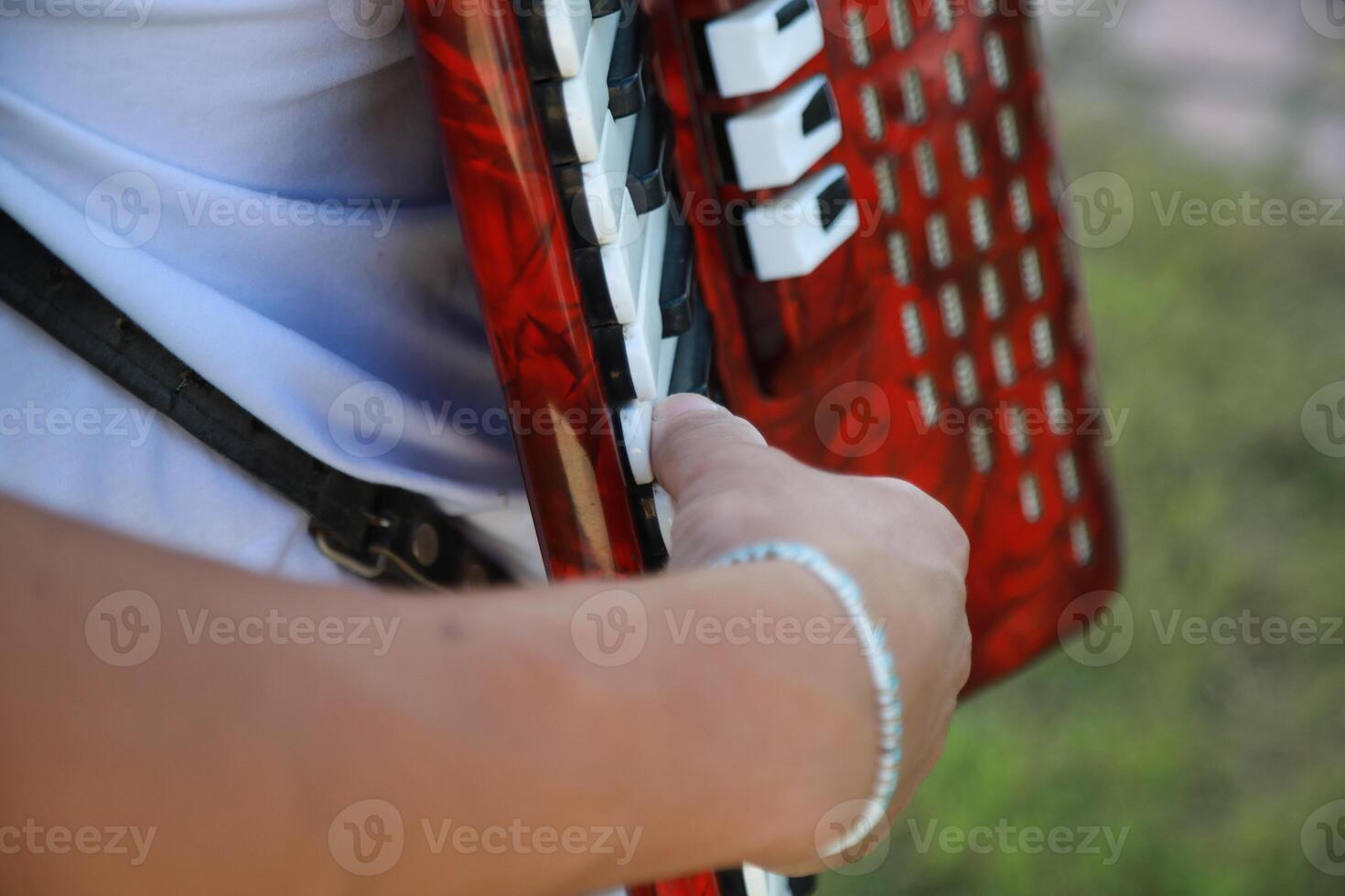 Hand On The Vintage Accordion photo