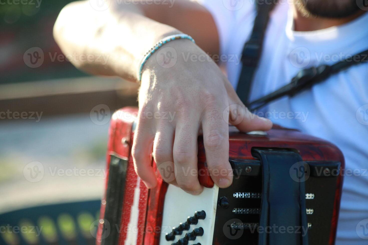 Hand Of A Professional Accordion Player photo