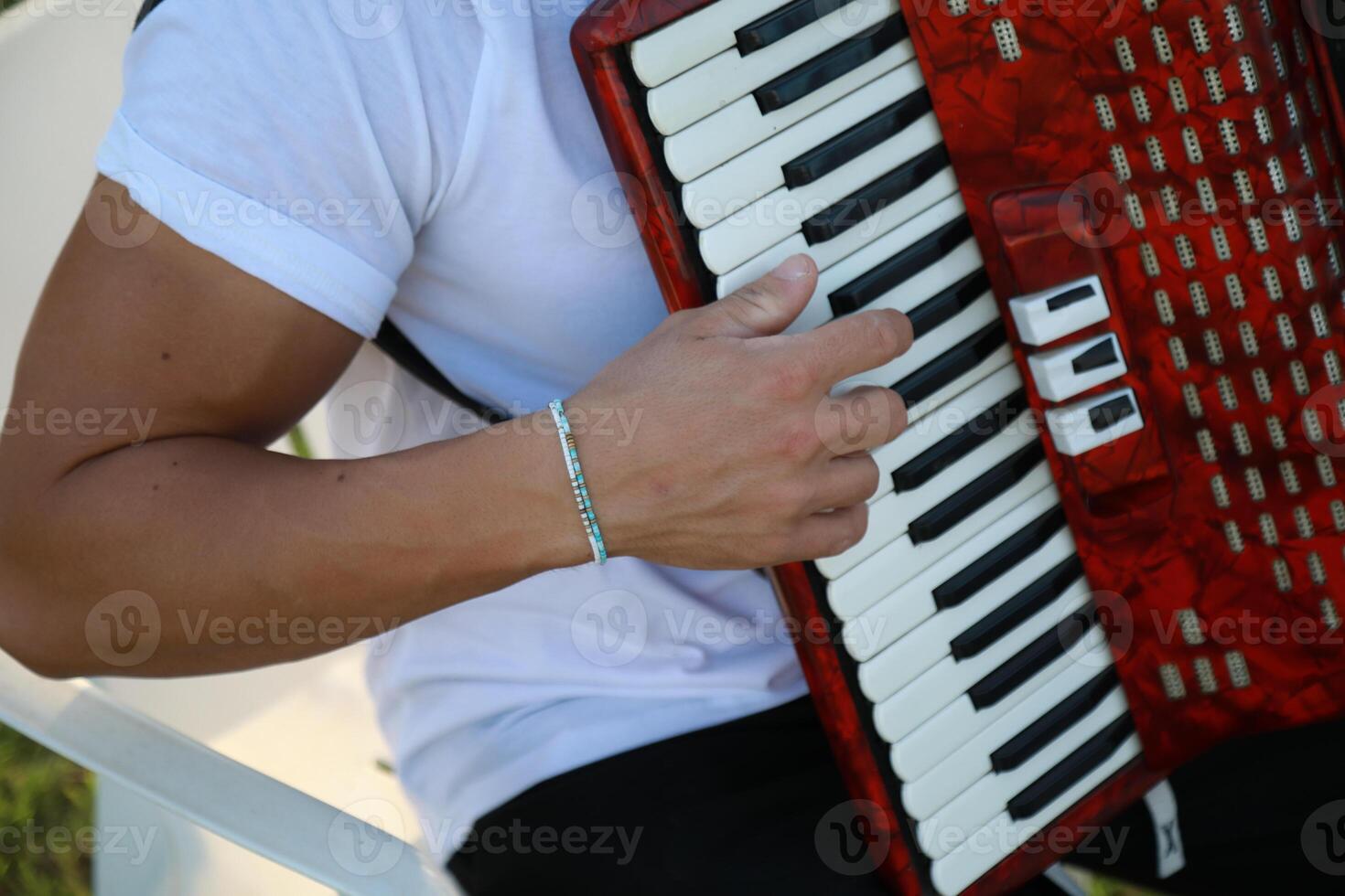Hand On The Vintage Accordion photo