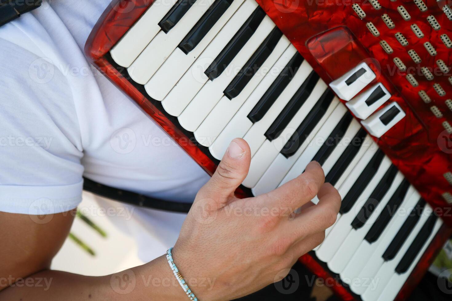 Hand On The Vintage Accordion photo