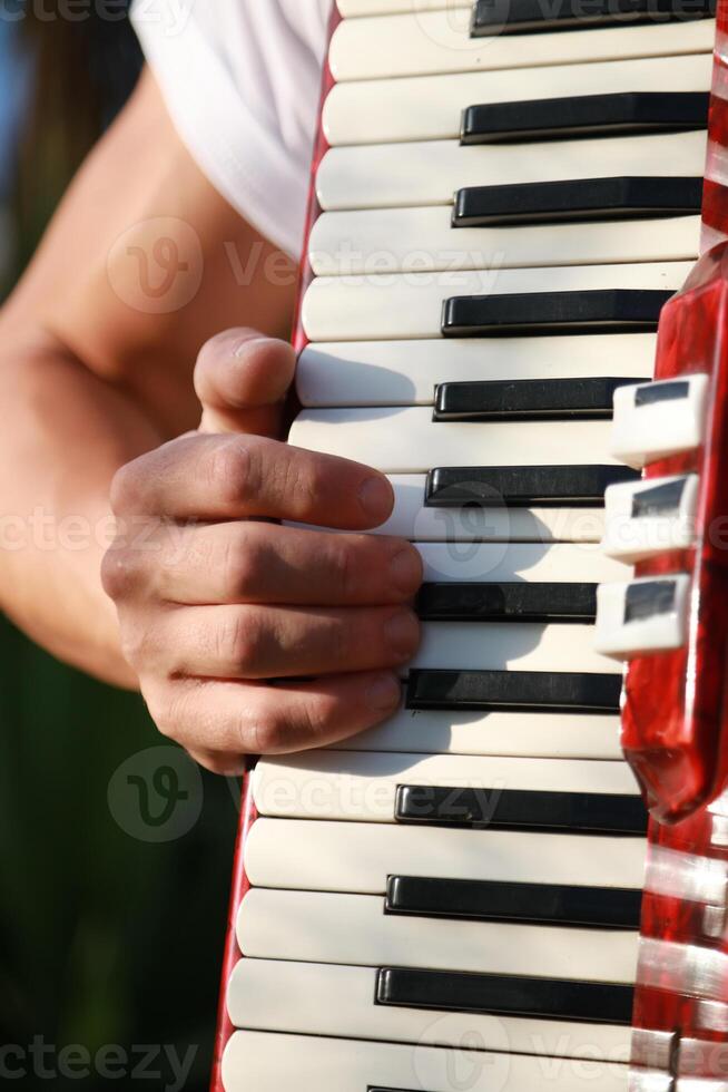 Hand Of A Professional Accordion Player photo