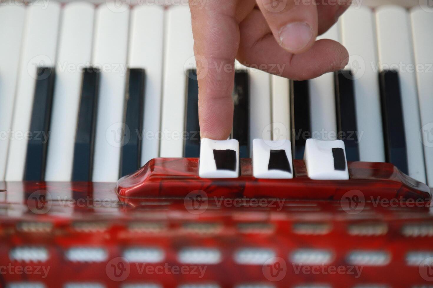Musician's Fingers Dancing Over Accordion Keys photo