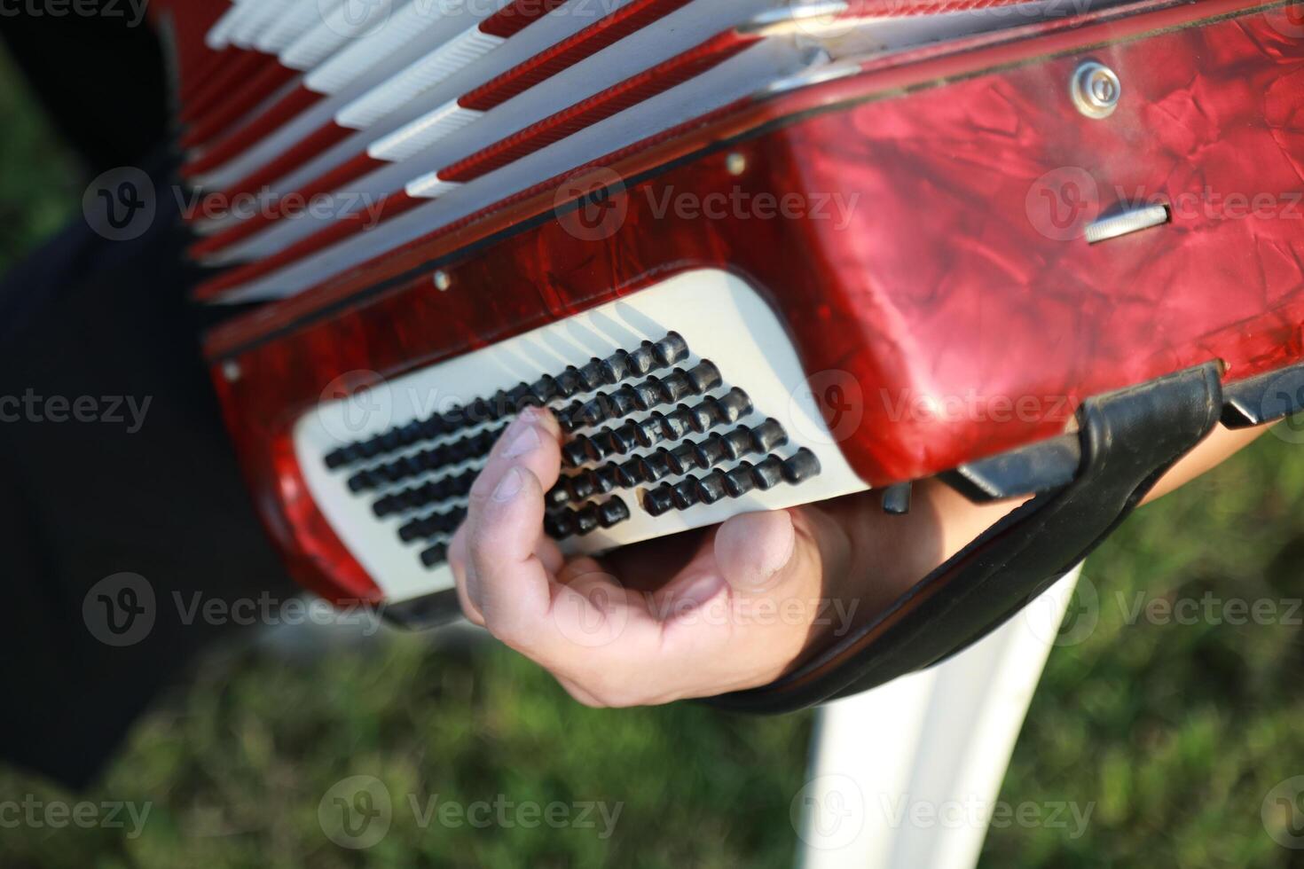 Hands Of A Professional Player On The Accordion Buttons photo