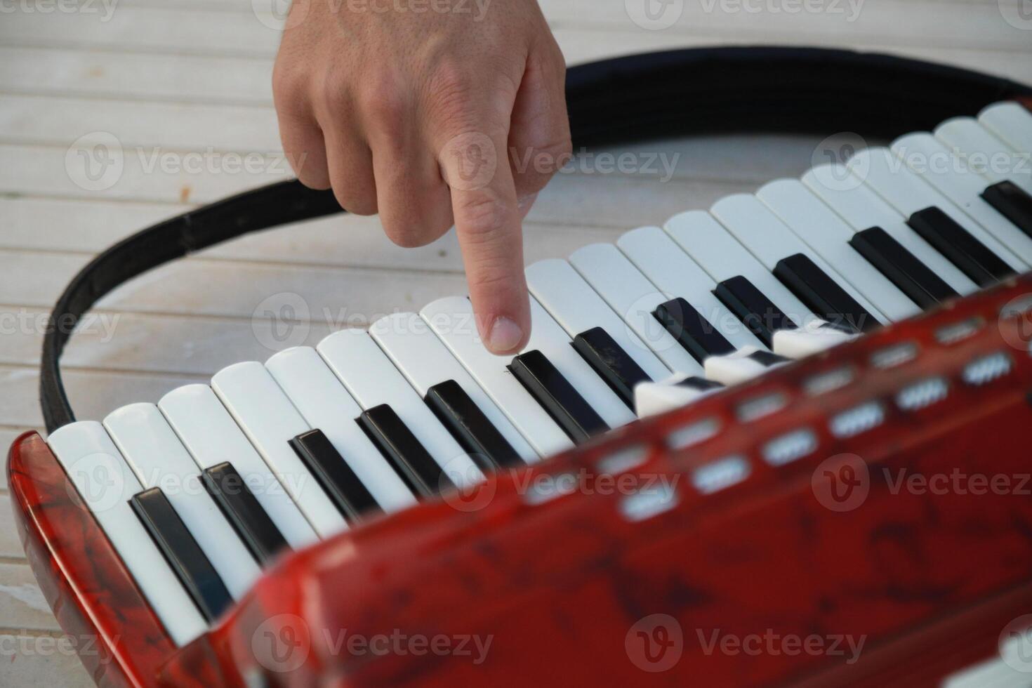 Musician's Fingers Dancing Over Accordion Keys photo