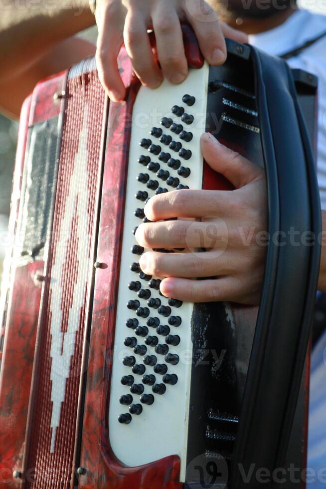 Hand Of A Professional Accordion Player photo