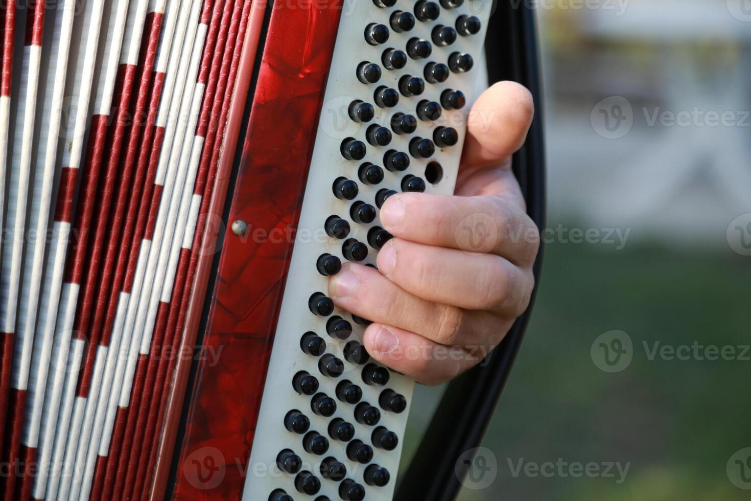 Hand Of A Professional Accordion Player photo