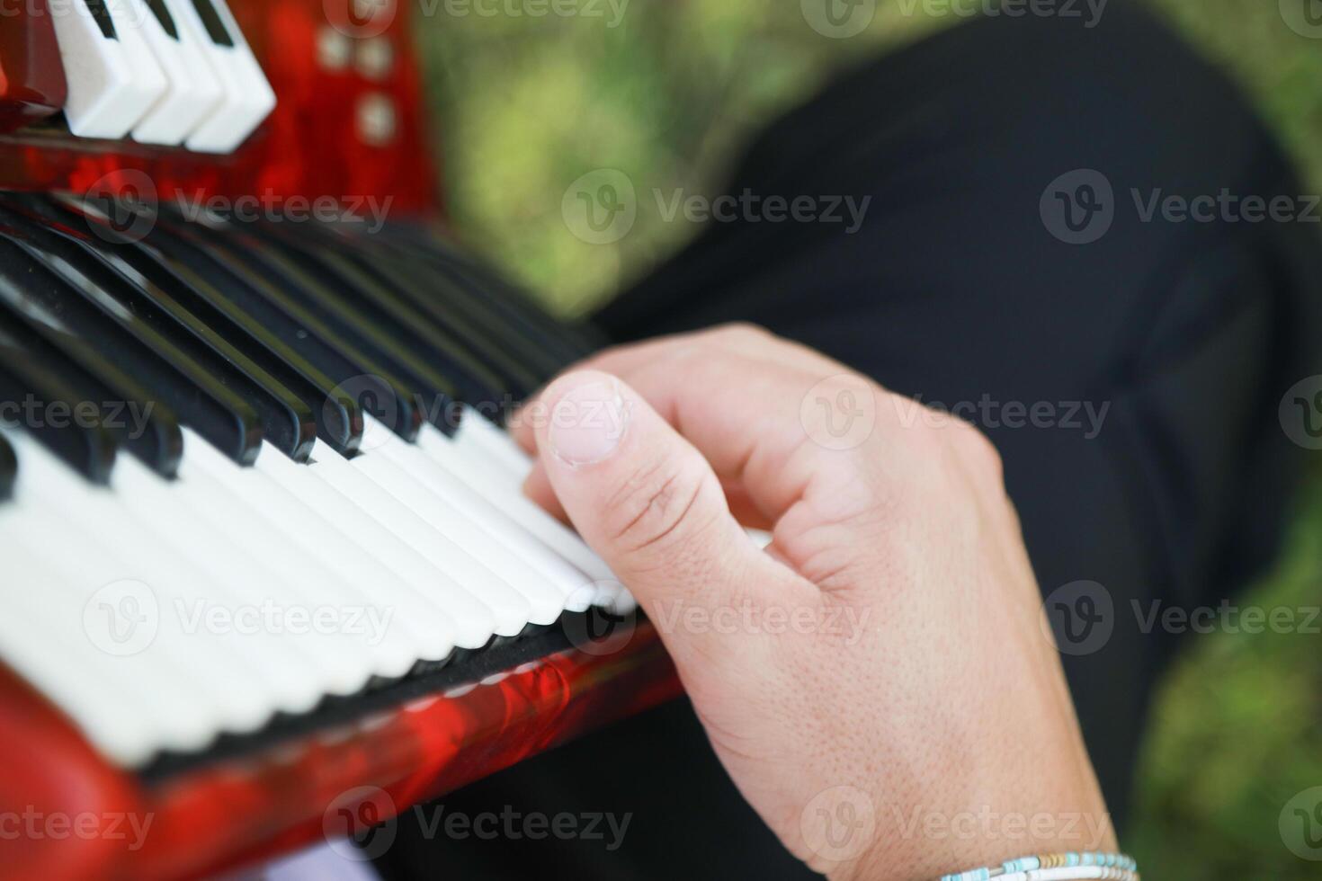 Joyful Melodies Flowing from Accordion Player photo