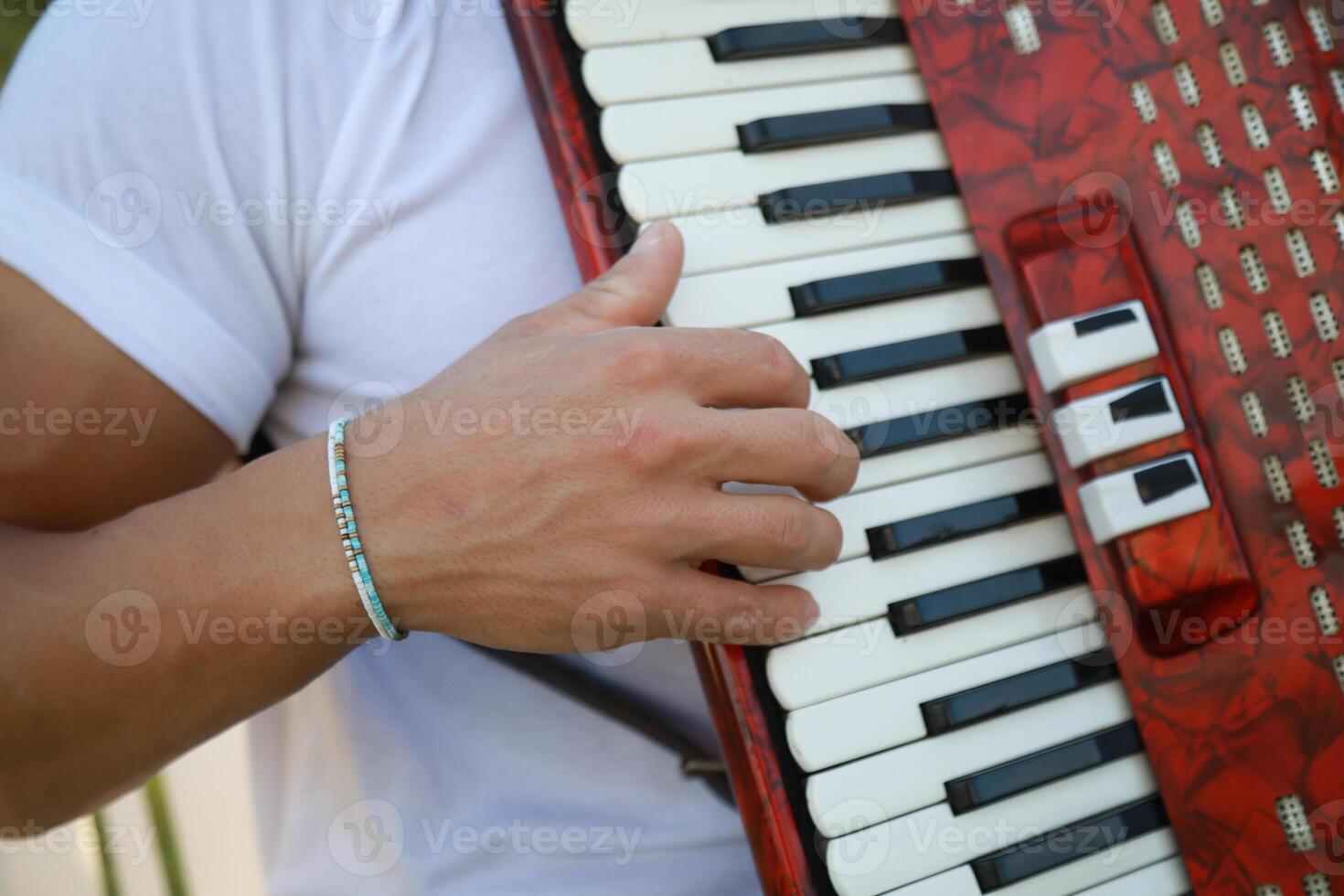 Joyful Melodies Flowing from Accordion Player photo
