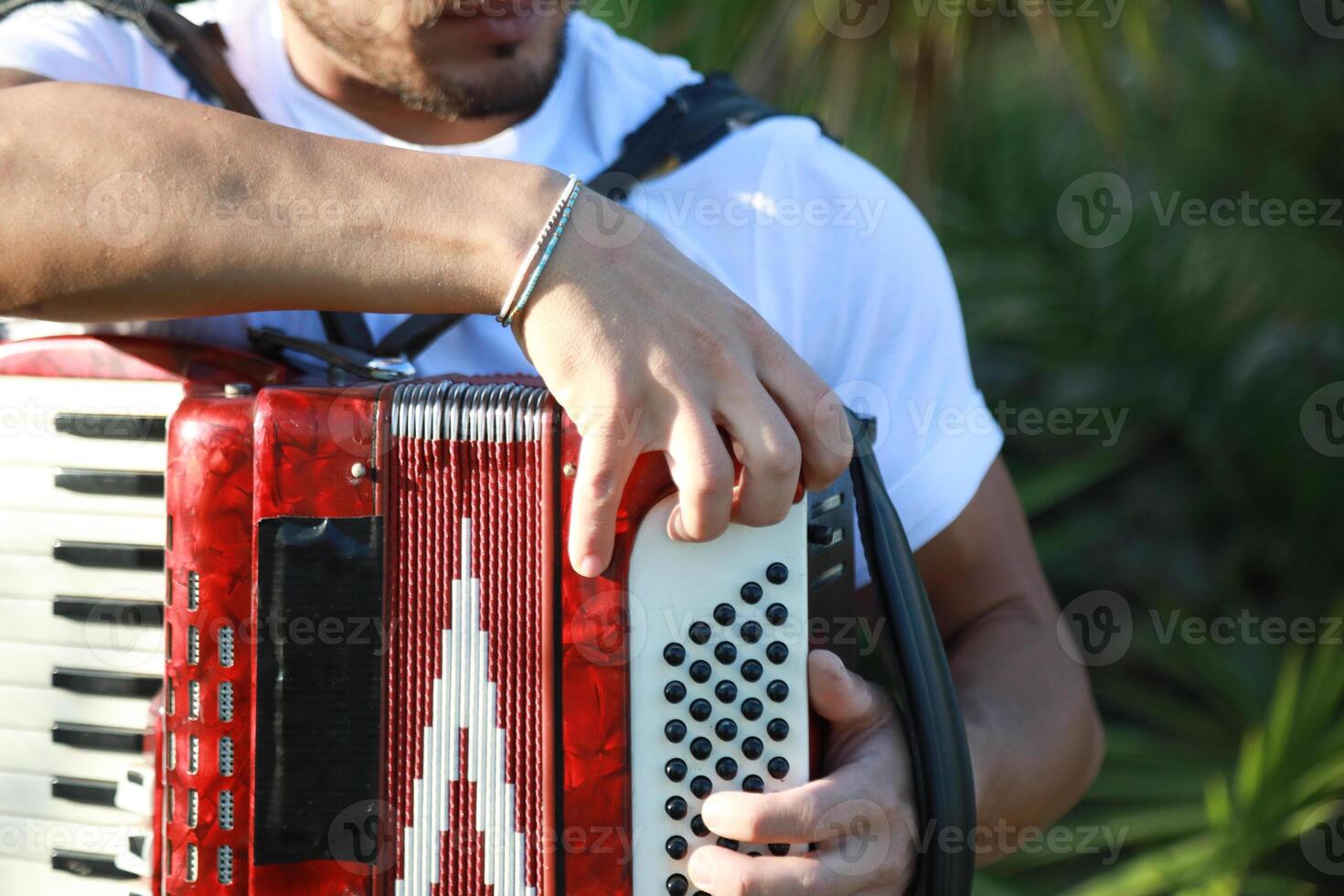 Hand Of A Professional Accordion Player photo