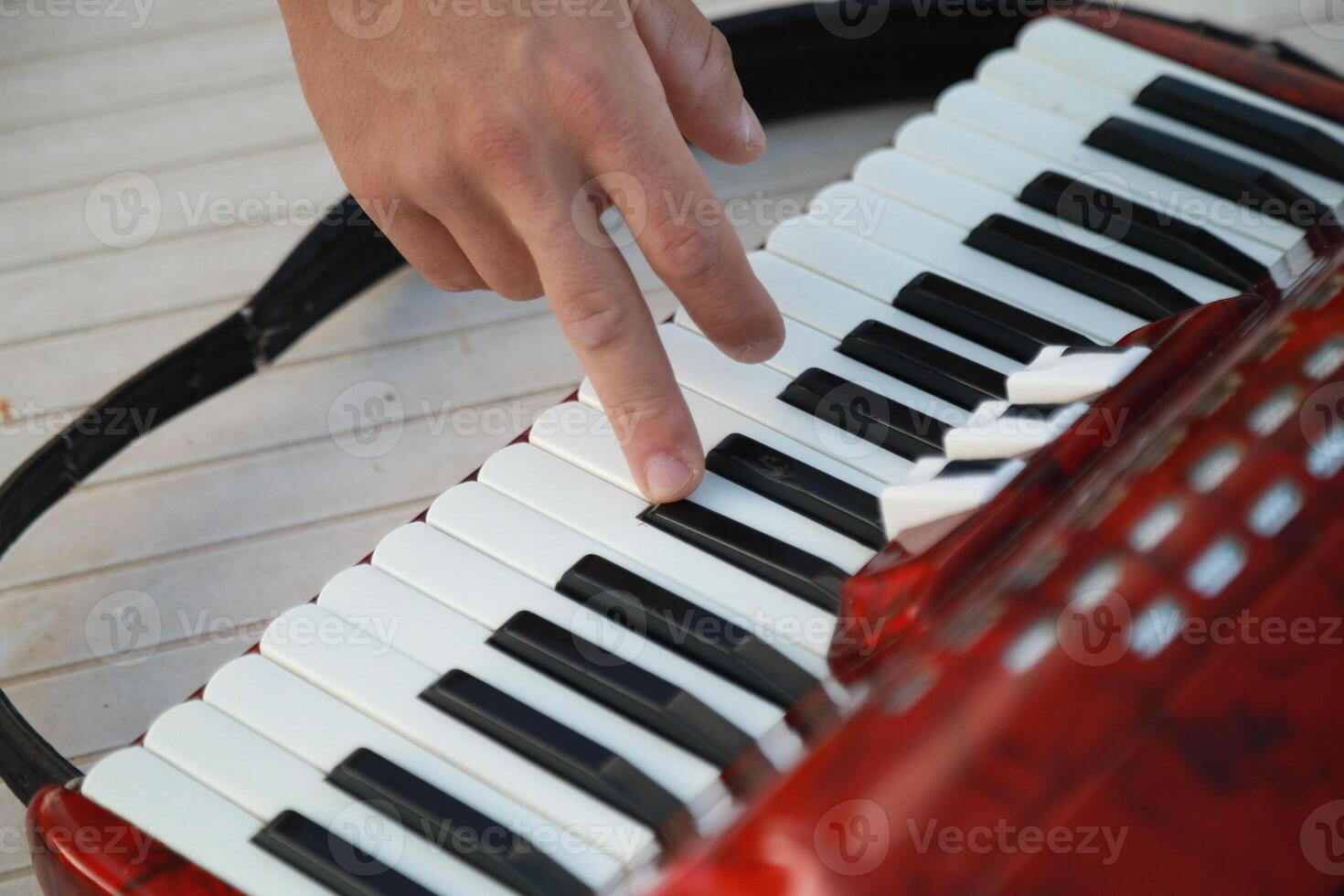 Musician's Fingers Dancing Over Accordion Keys photo