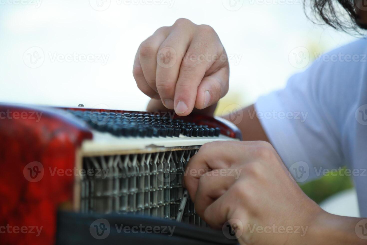 Metal Parts Of The Accordion During Tuning photo