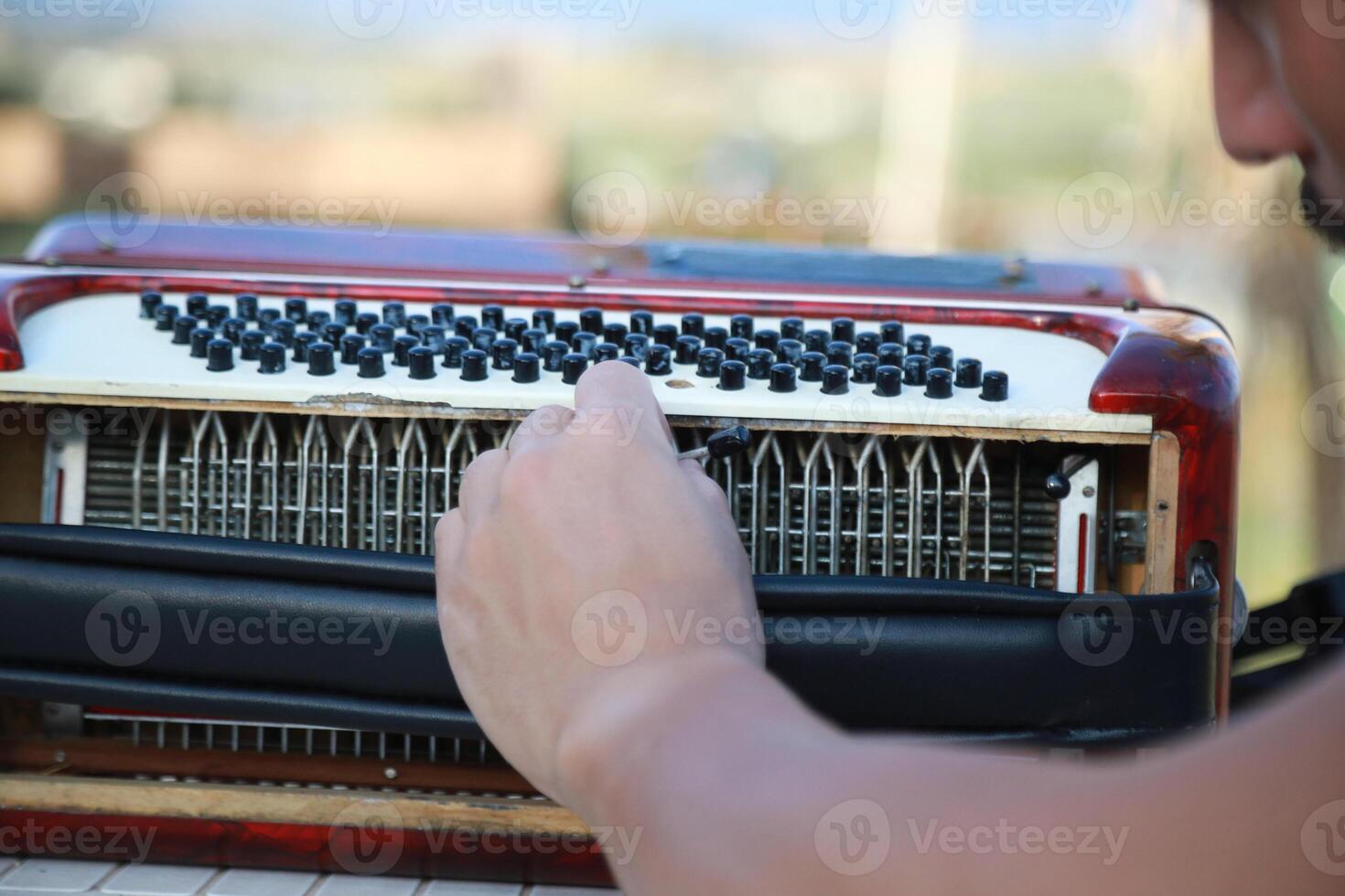 Metal Parts Of The Accordion During Tuning photo