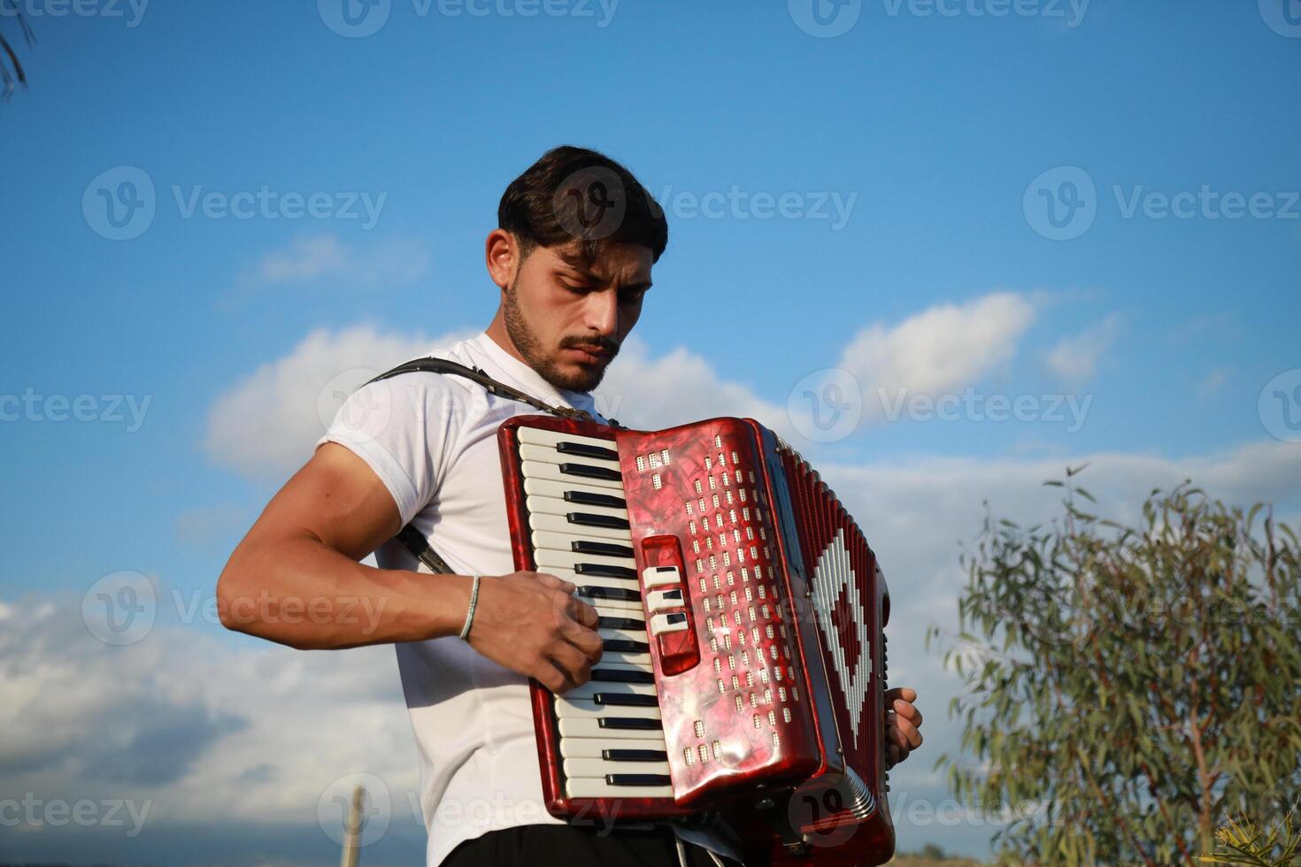Dynamic Accordionist in Nature Embrace photo