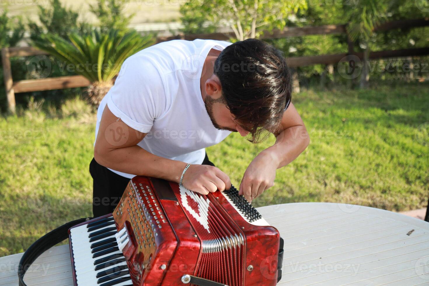 Tuning Of The Accordion Before Starting To Play photo