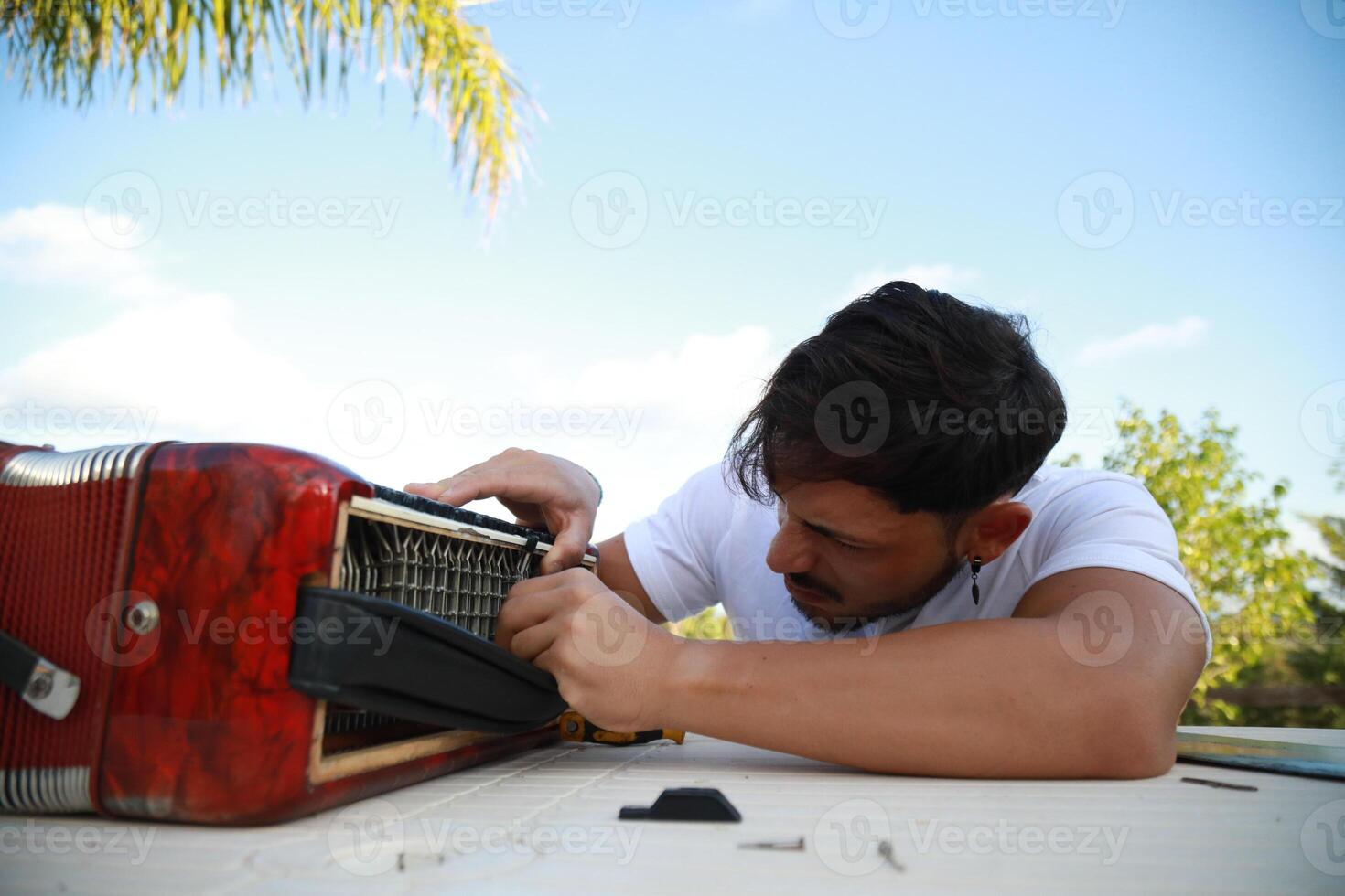 Metal Parts Of The Accordion During Tuning photo
