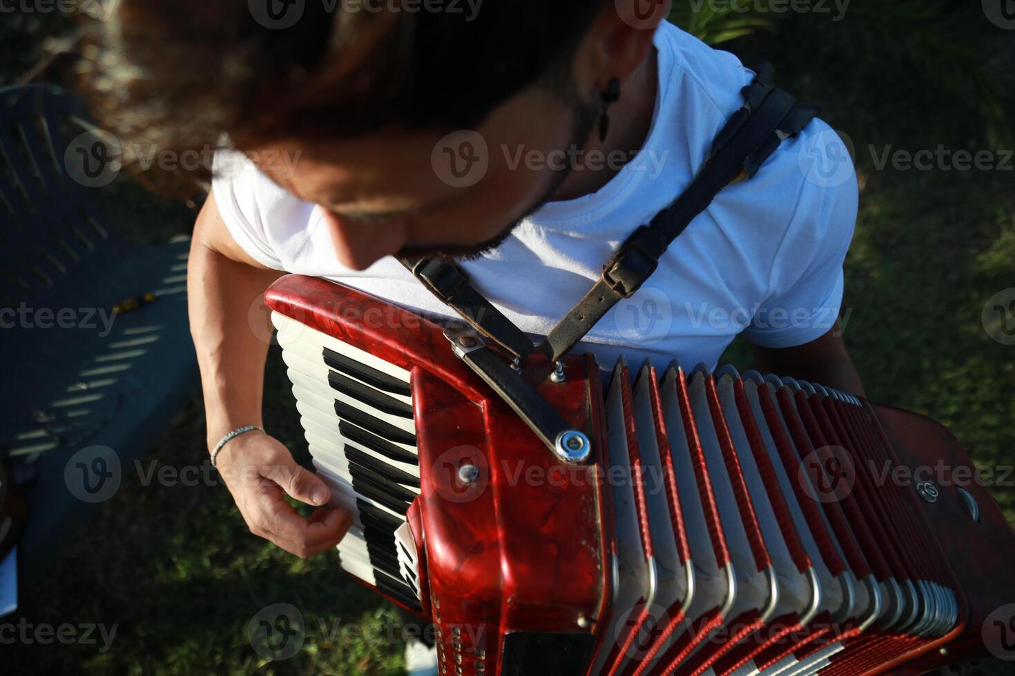 Hands On The Keyboard Of The Accordion photo