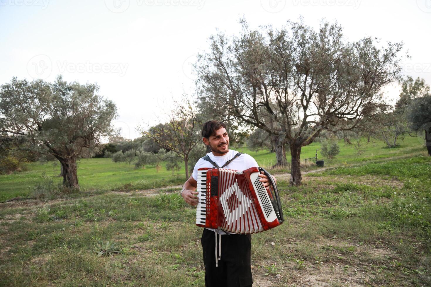 Music Sounds From Accordion In The Green Field photo