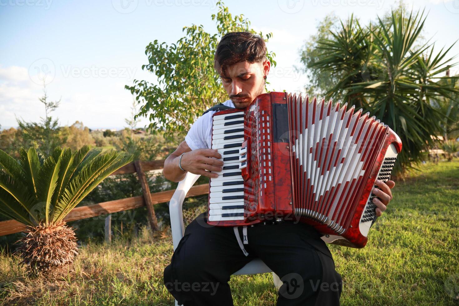 Joyful Melodies Flowing from Accordion Player photo