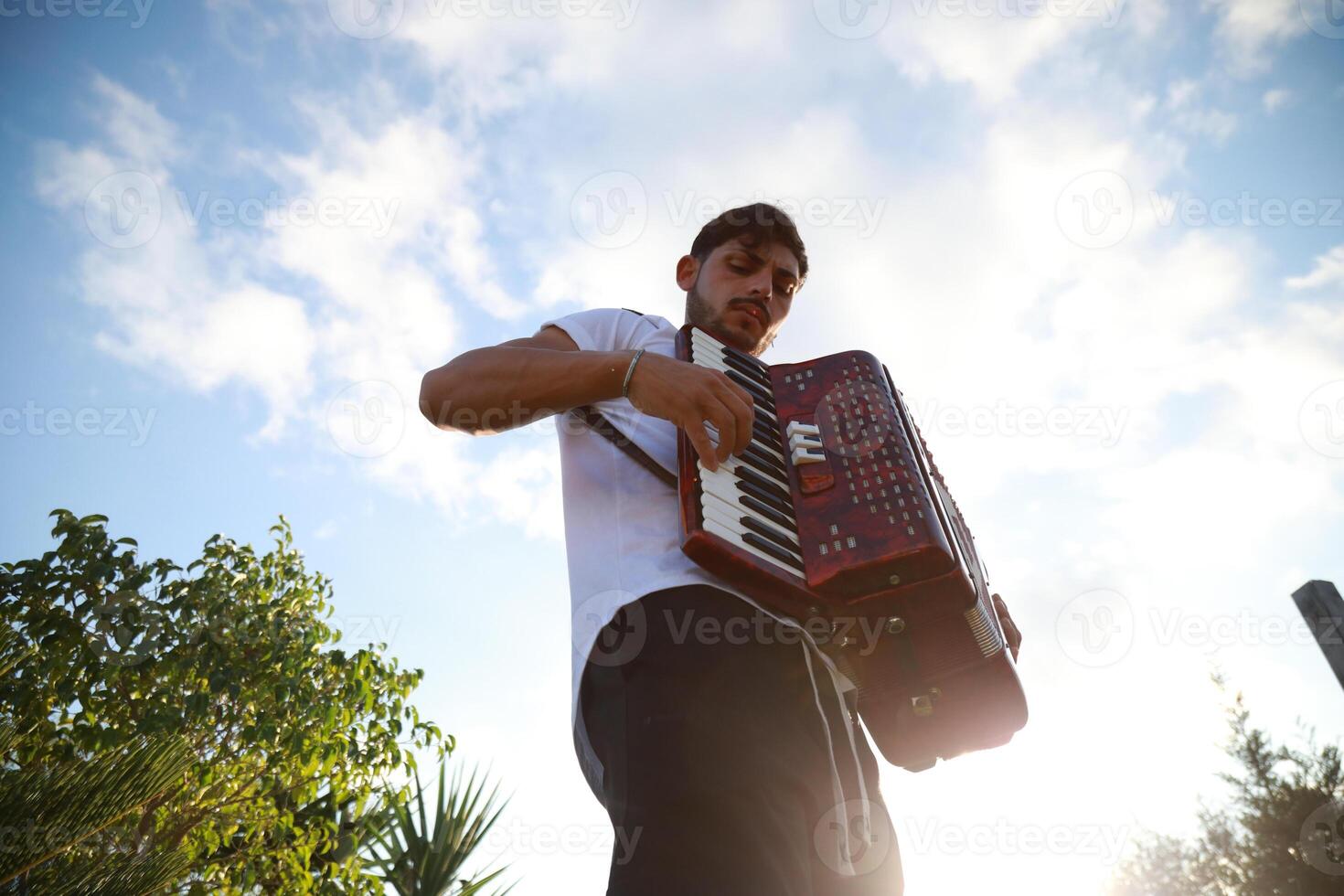 Dynamic Accordionist in Nature Embrace photo