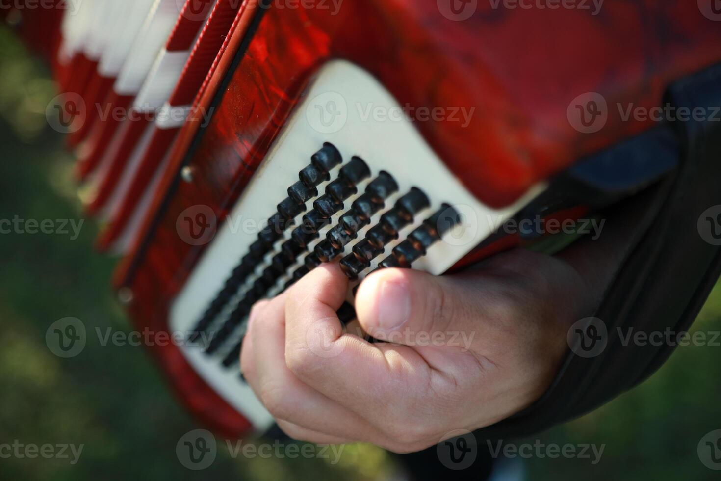 Hands Of A Professional Player On The Accordion Buttons photo
