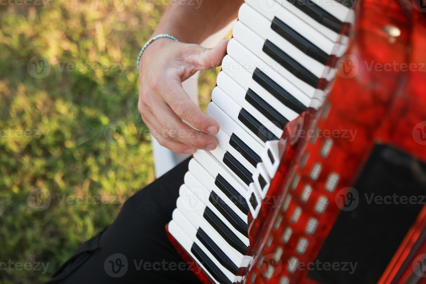 Joyful Melodies Flowing from Accordion Player photo