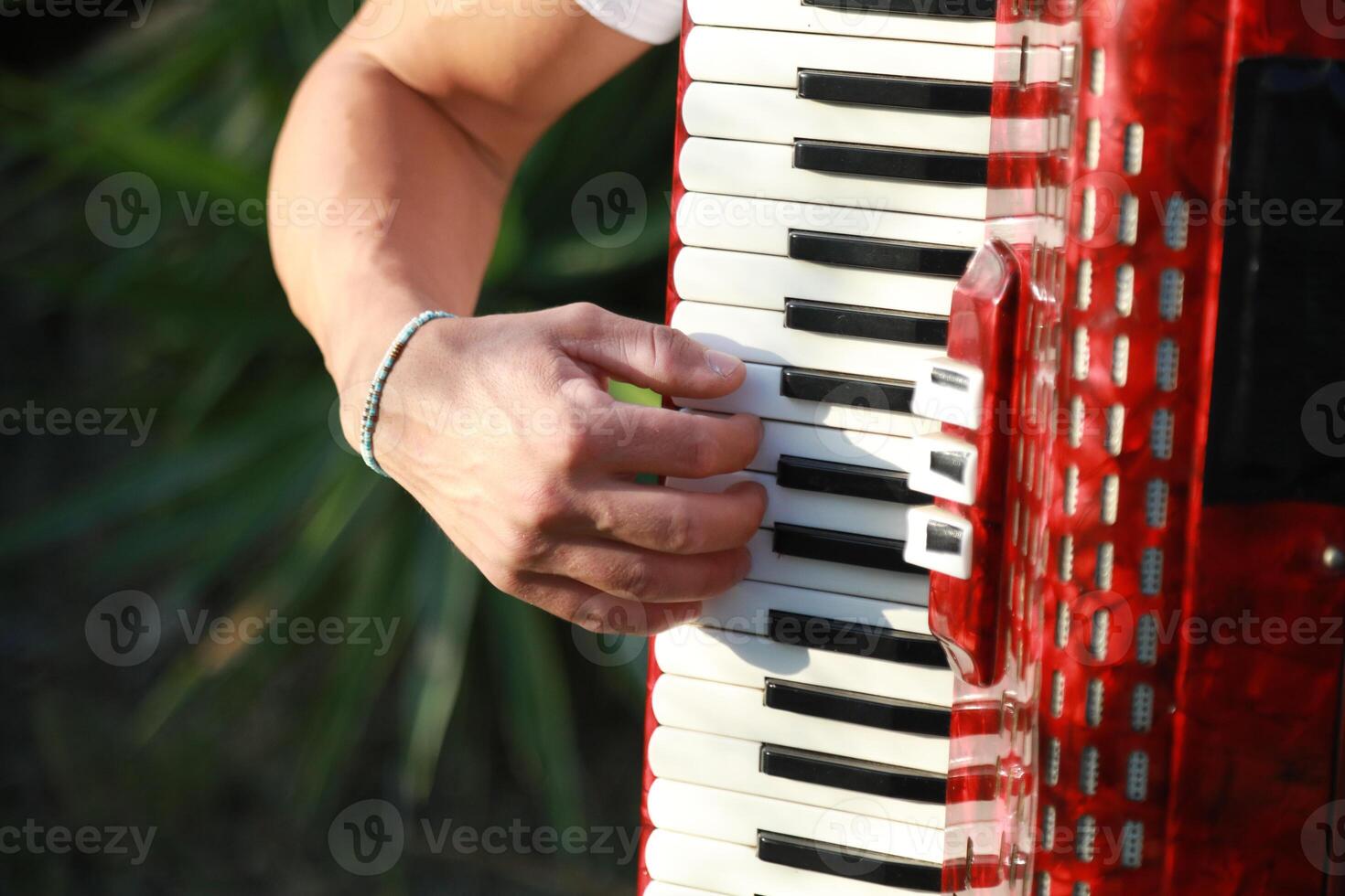 Hand Of A Professional Accordion Player photo