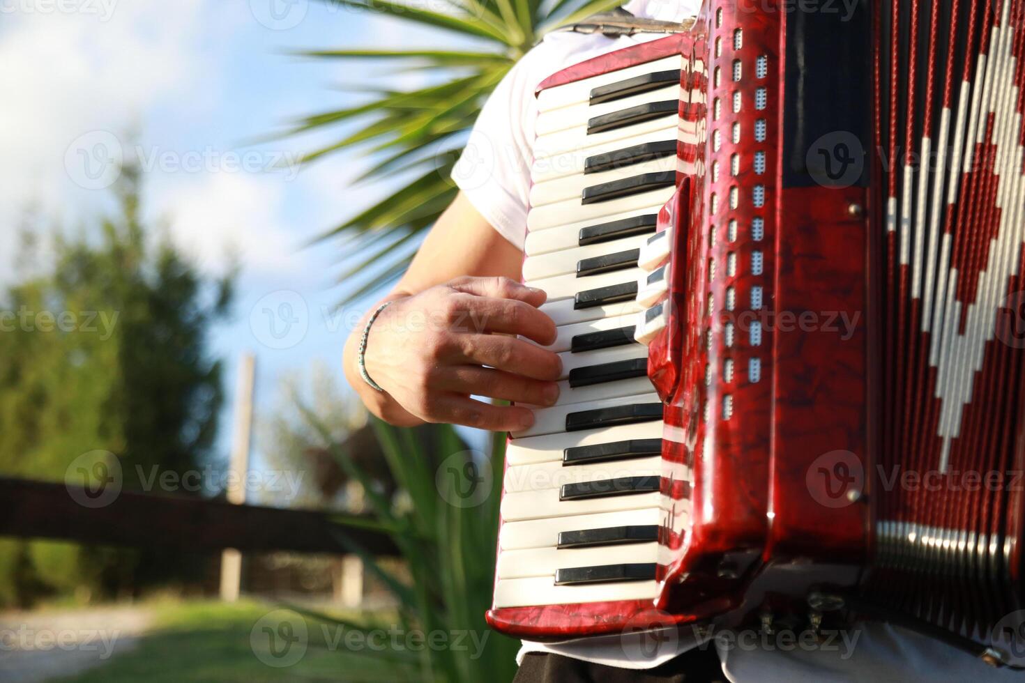 Virtuoso Accordionist Performing Amidst Nature photo