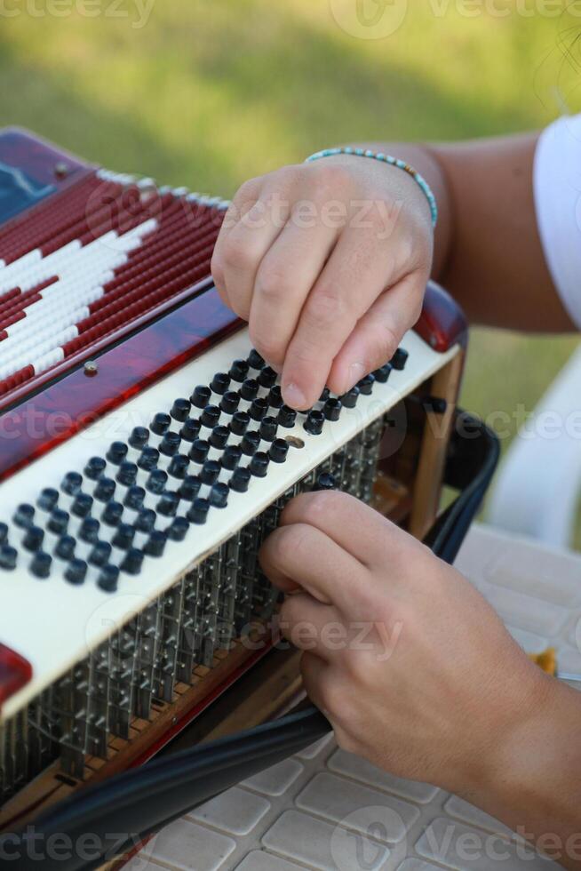 Metal Parts Of The Accordion During Tuning photo
