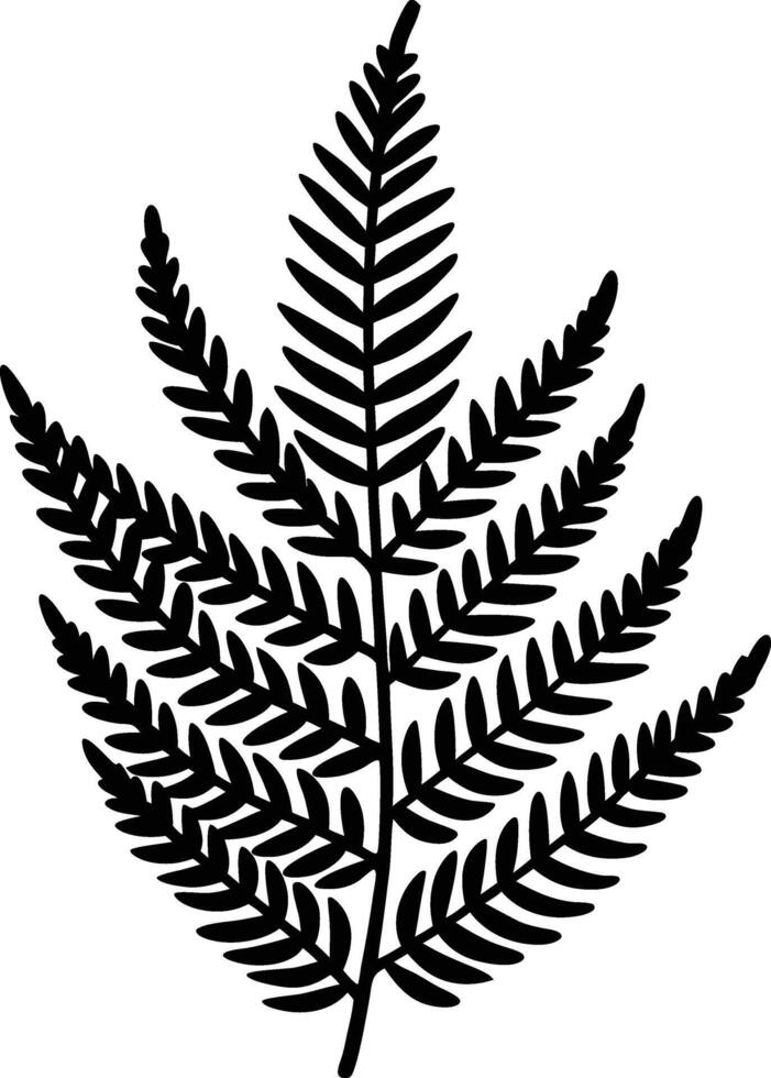 Silhouette Black Fern Leaf Botanical Illustration Graphic Design vector