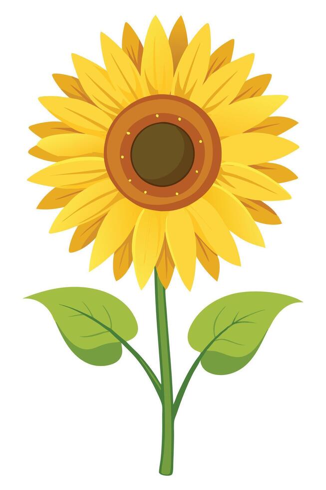 Vibrant Yellow Sunflower Blossom, Summer Bloom, Nature Illustration vector