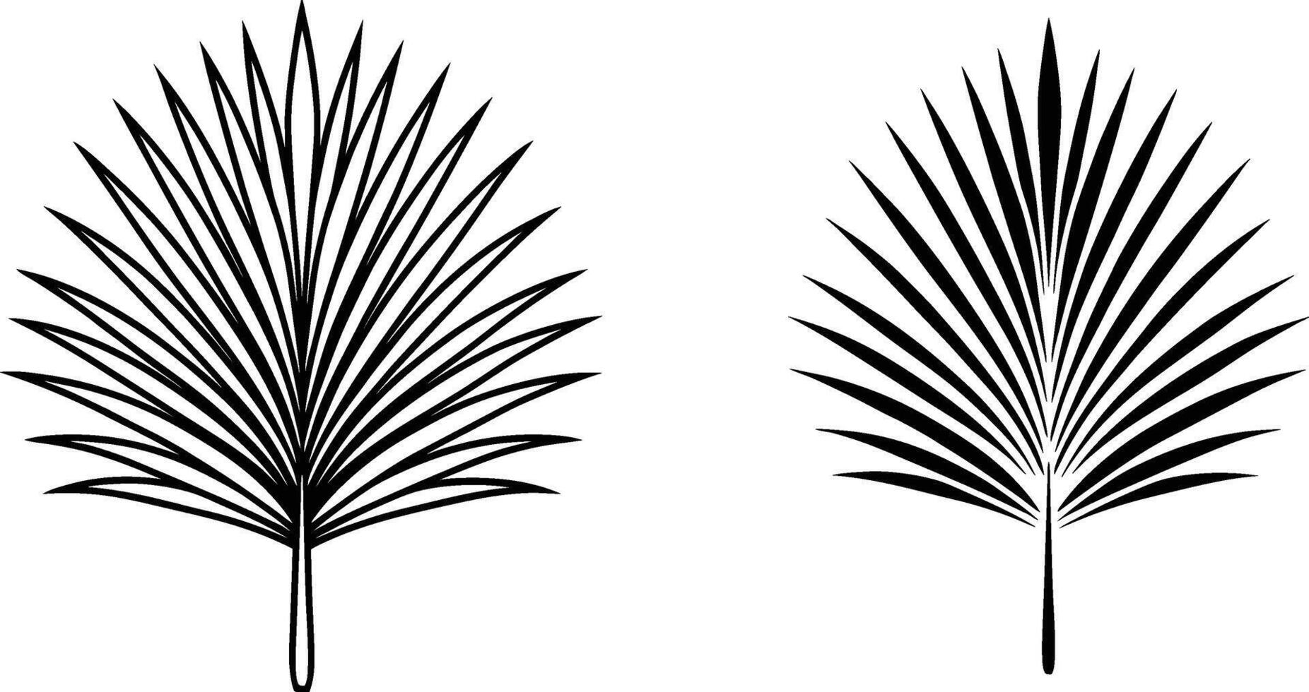 Elegant Black Palm Fronds Tropical Leaf Illustrations vector