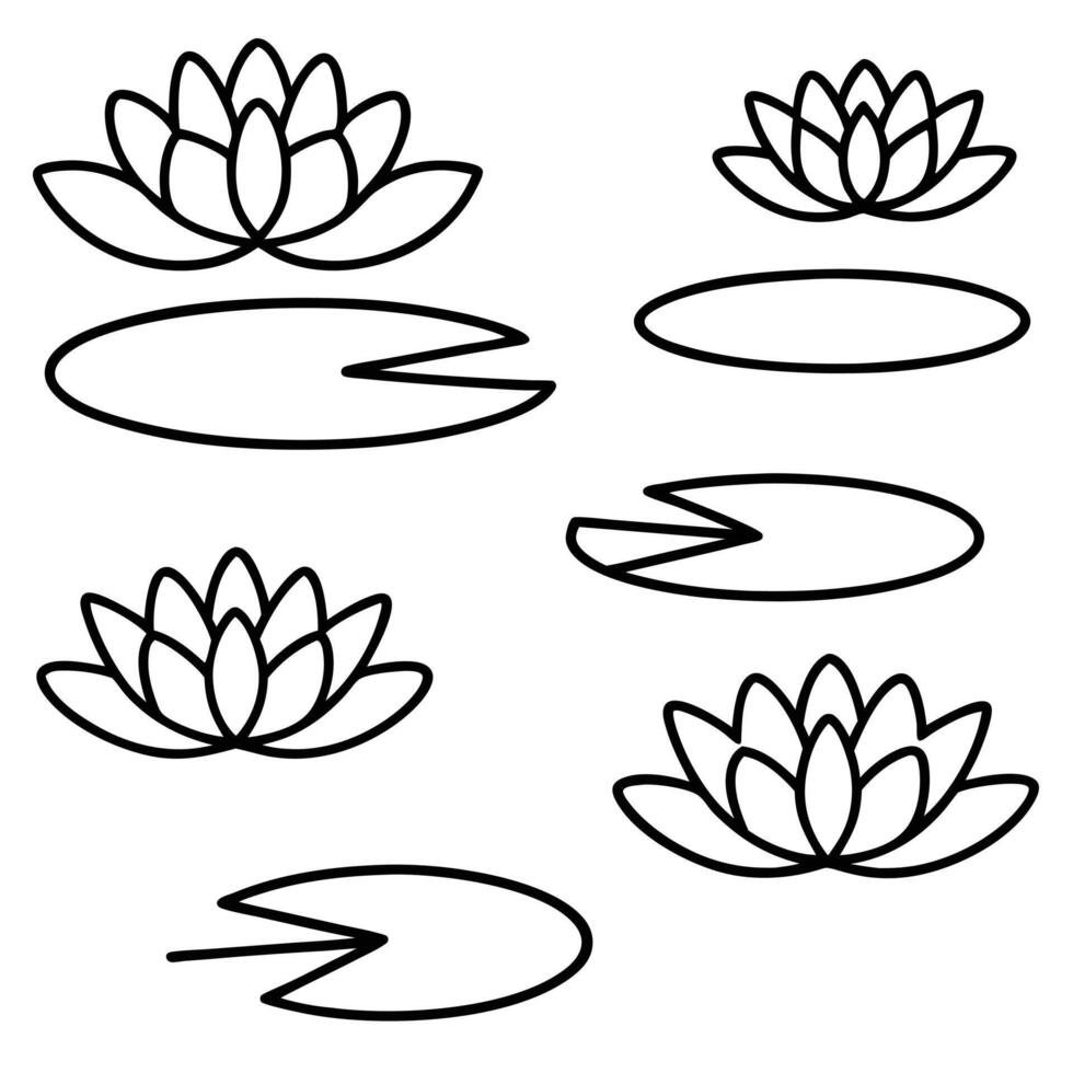 Water Lily Pond Line Art Simple Floral Botanical Illustrations vector