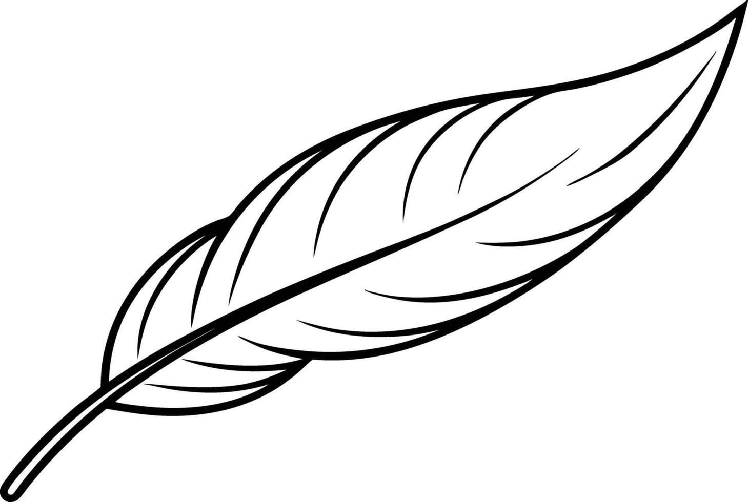 Single Bird Feather Outline, Black and White Illustration vector