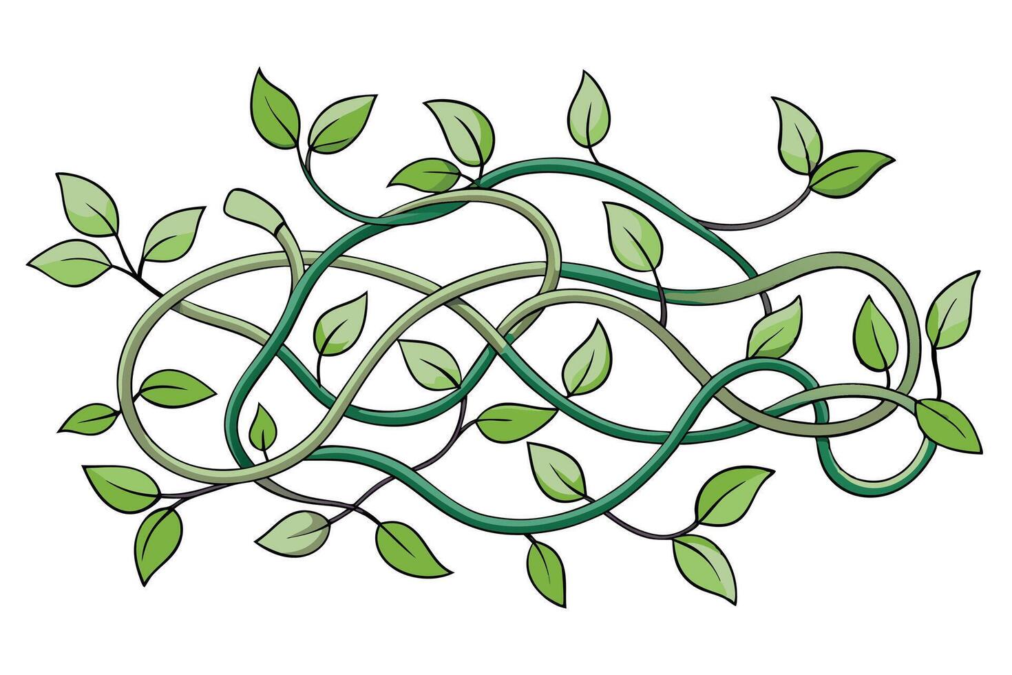 Entwined Green Vines, Lush Foliage, Natural Design, Spring Growth, Organic Pattern, Botanical Illust vector