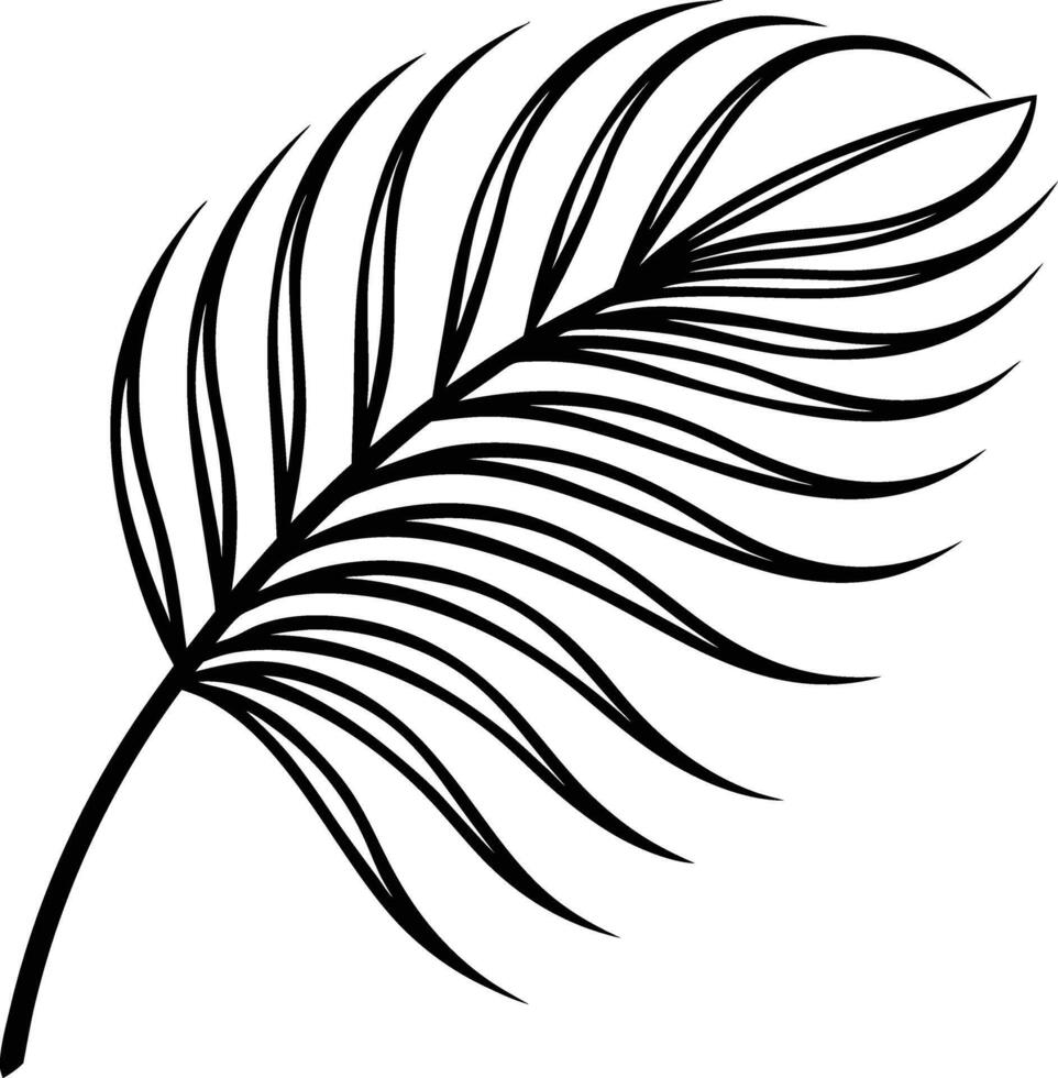 Elegant Black and White Palm Leaf Illustration Design vector