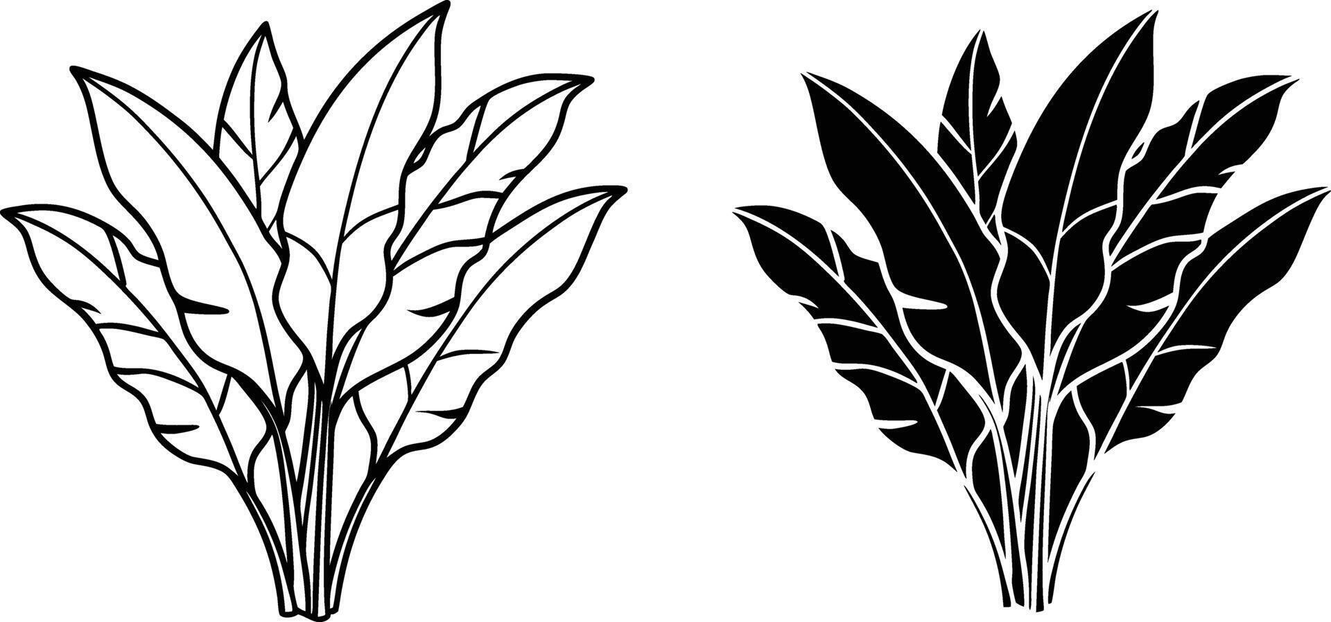Tropical Plant Leaves Outline and Solid Black Illustrations vector