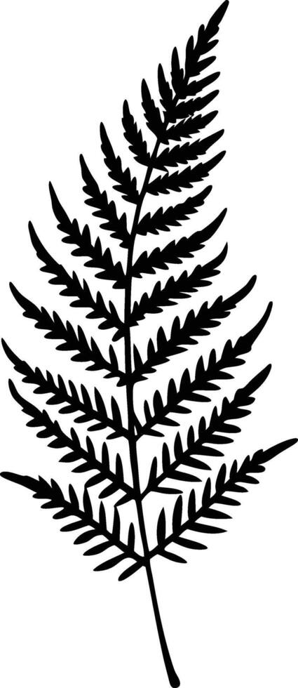 Elegant Black Fern Silhouette Botanical, Nature, Leaf, Plant vector