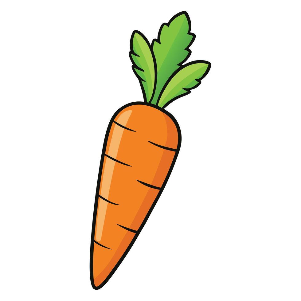 Carrot clip art and Design With a White Background vector