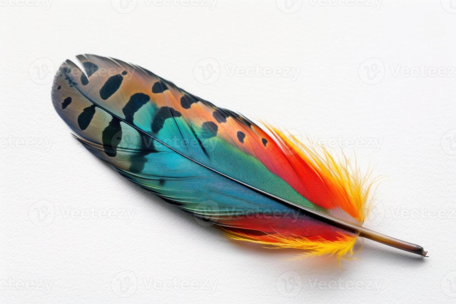 Single colorful bird feather lying on white background photo
