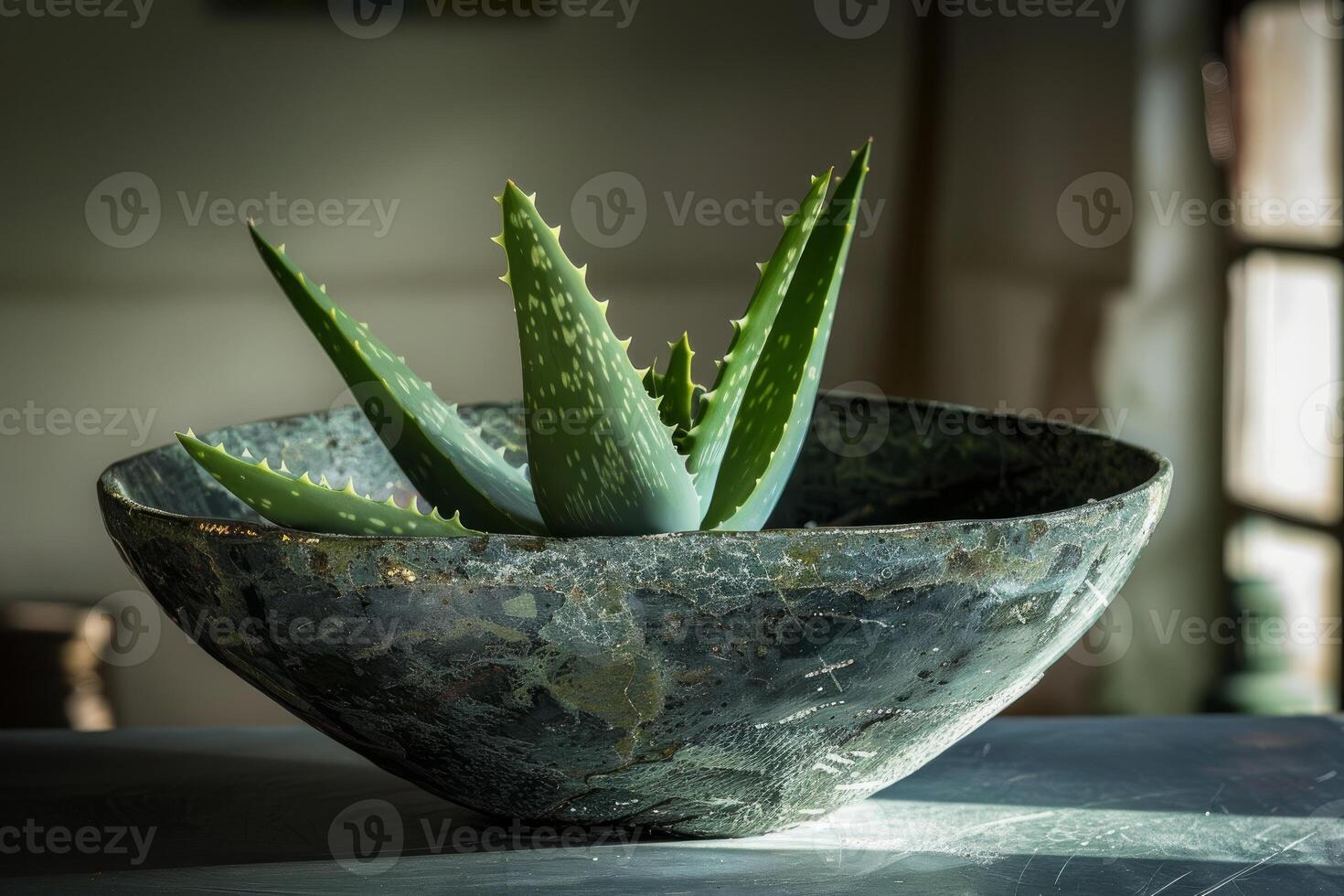 Aloe vera plant growing in a rustic bowl on a table photo