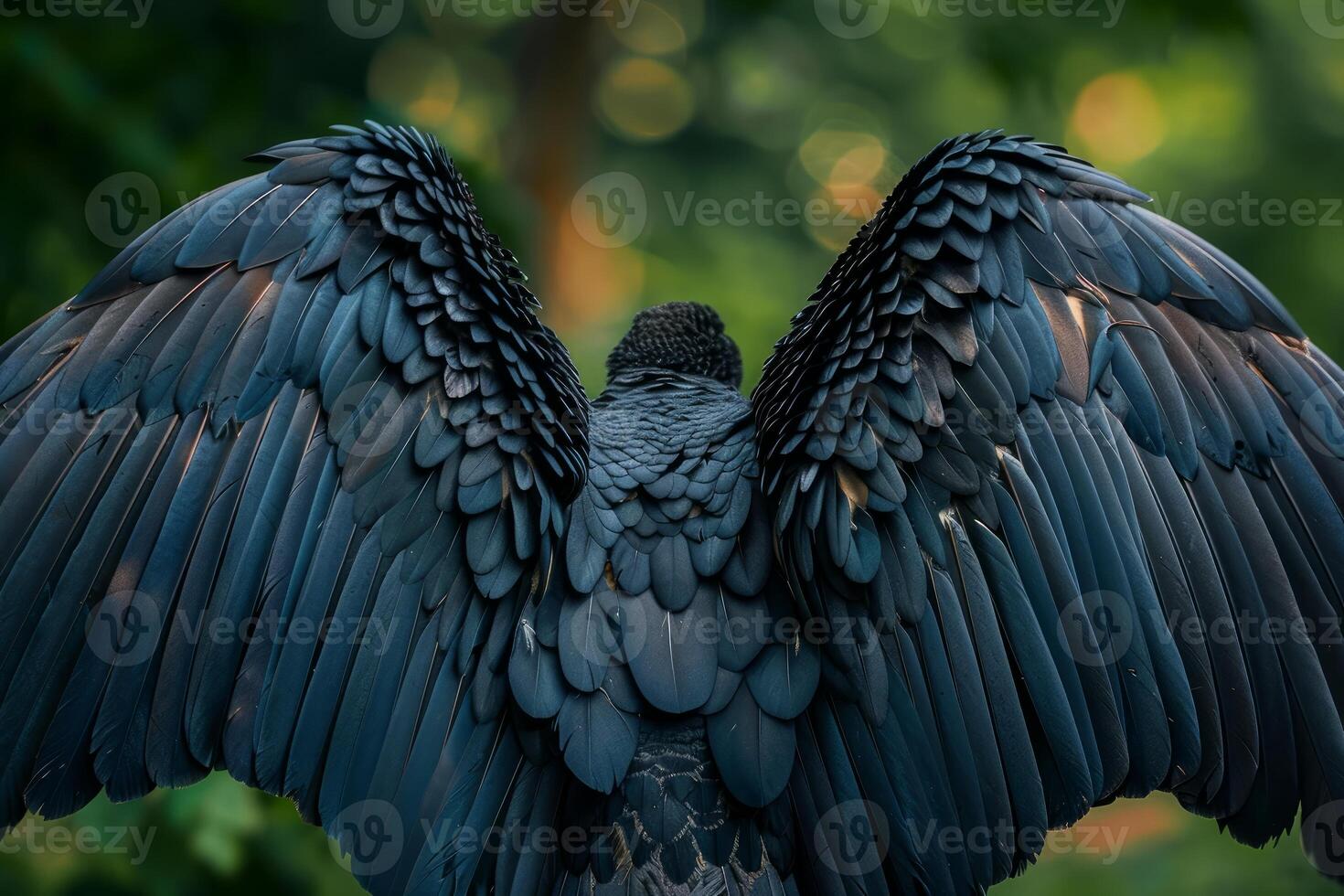Majestic black bird showing incredible wingspan in nature photo