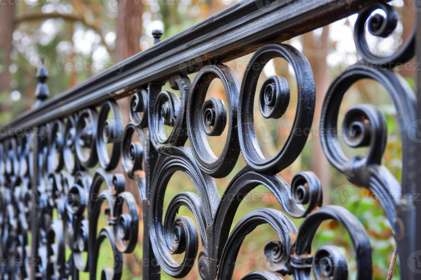 Black wrought iron fence showing intricate scrollwork photo