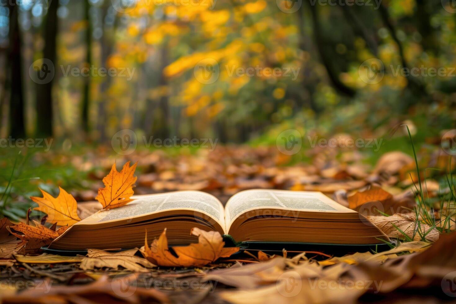 Open book lying on fallen autumn leaves in a forest photo
