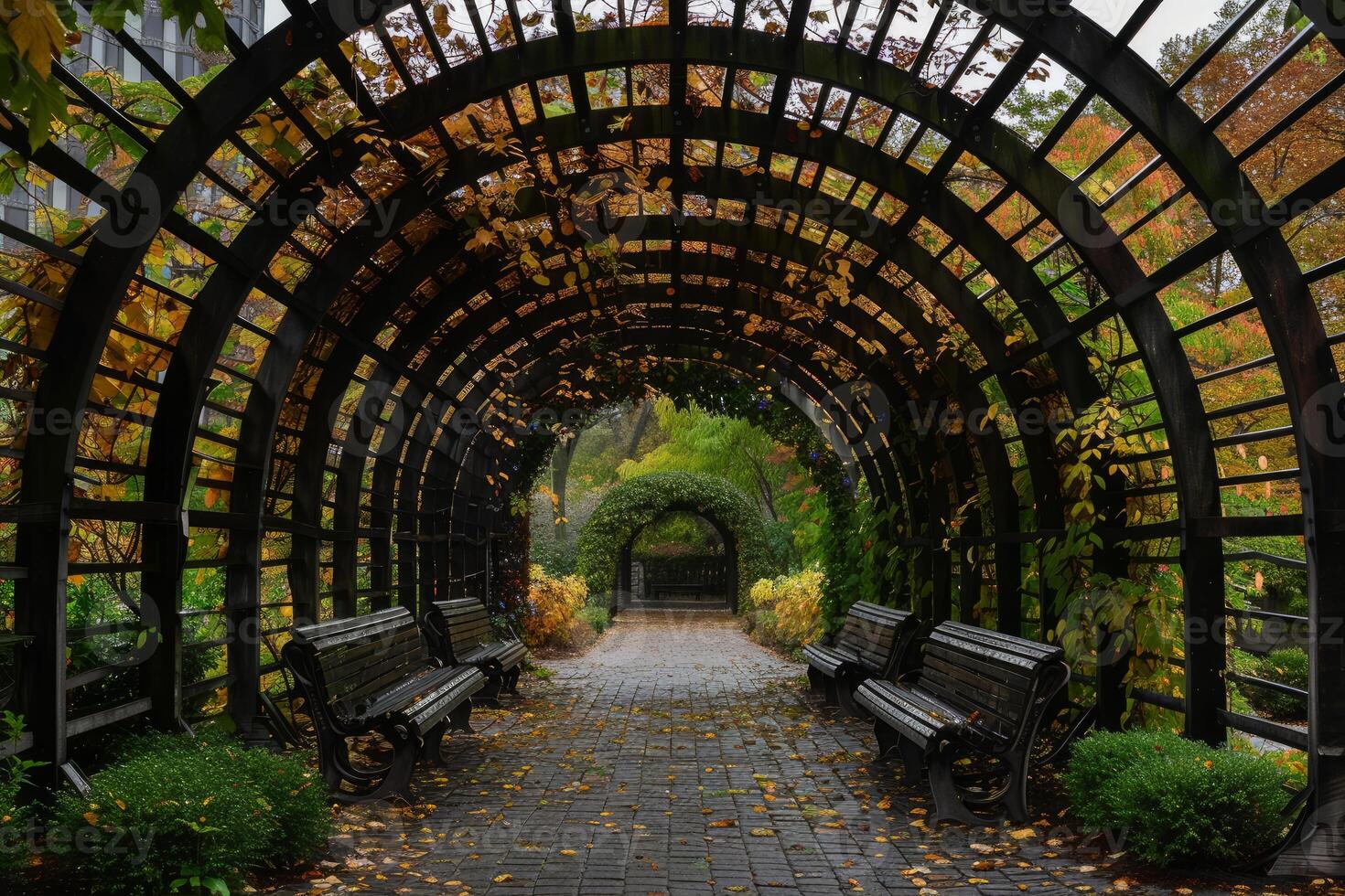 Wooden tunnel covered with autumn leaves leading to green arch in serene garden photo