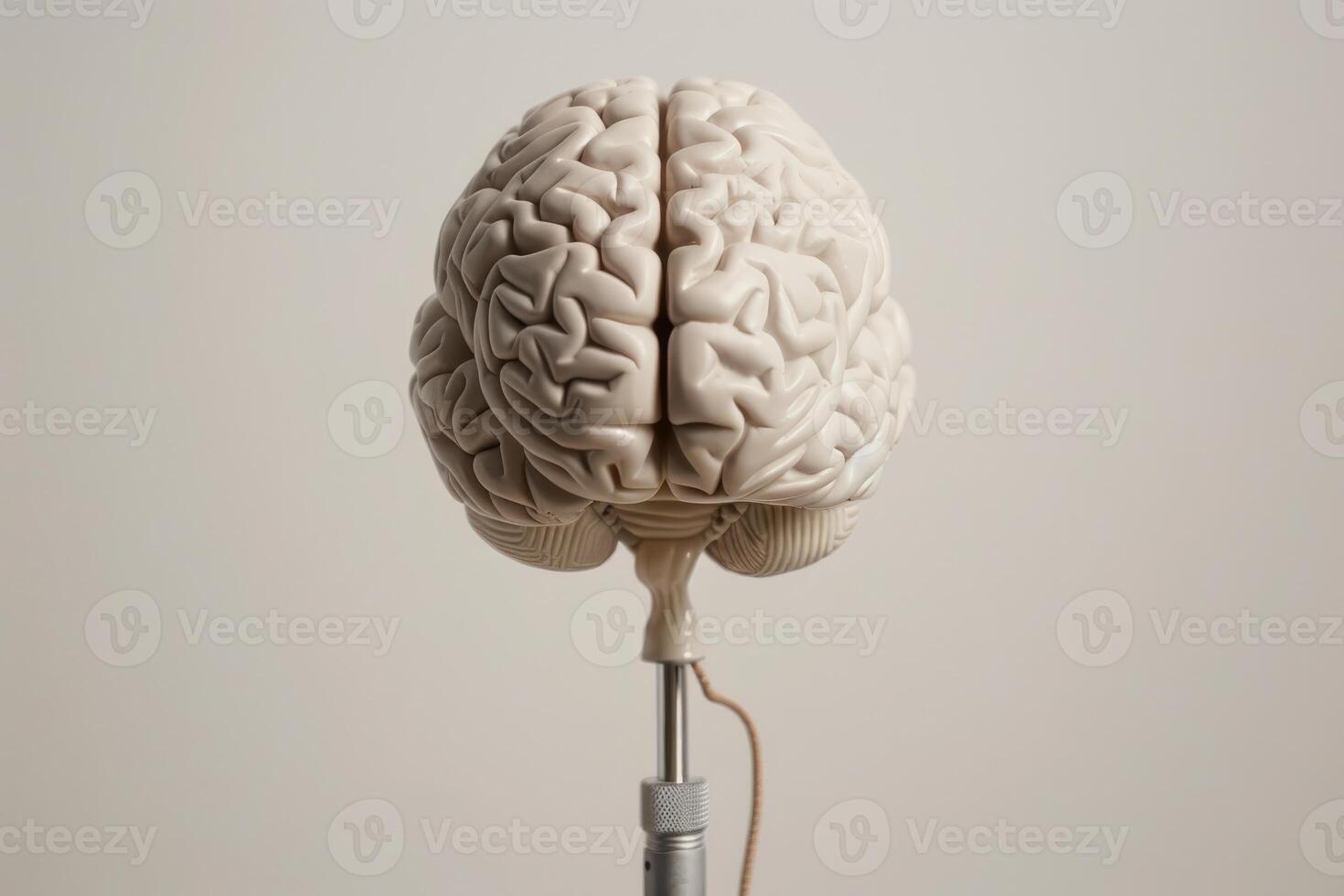 Human brain model standing on a metal stand for educational purposes photo