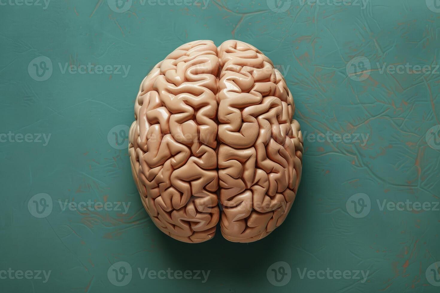 Human brain model resting on a green surface representing intelligence and creativity photo