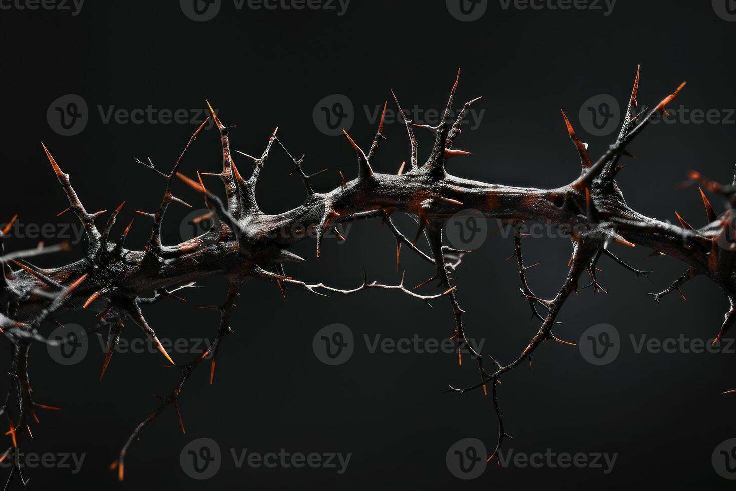 Crown of thorns representing suffering and sacrifice on dark background photo