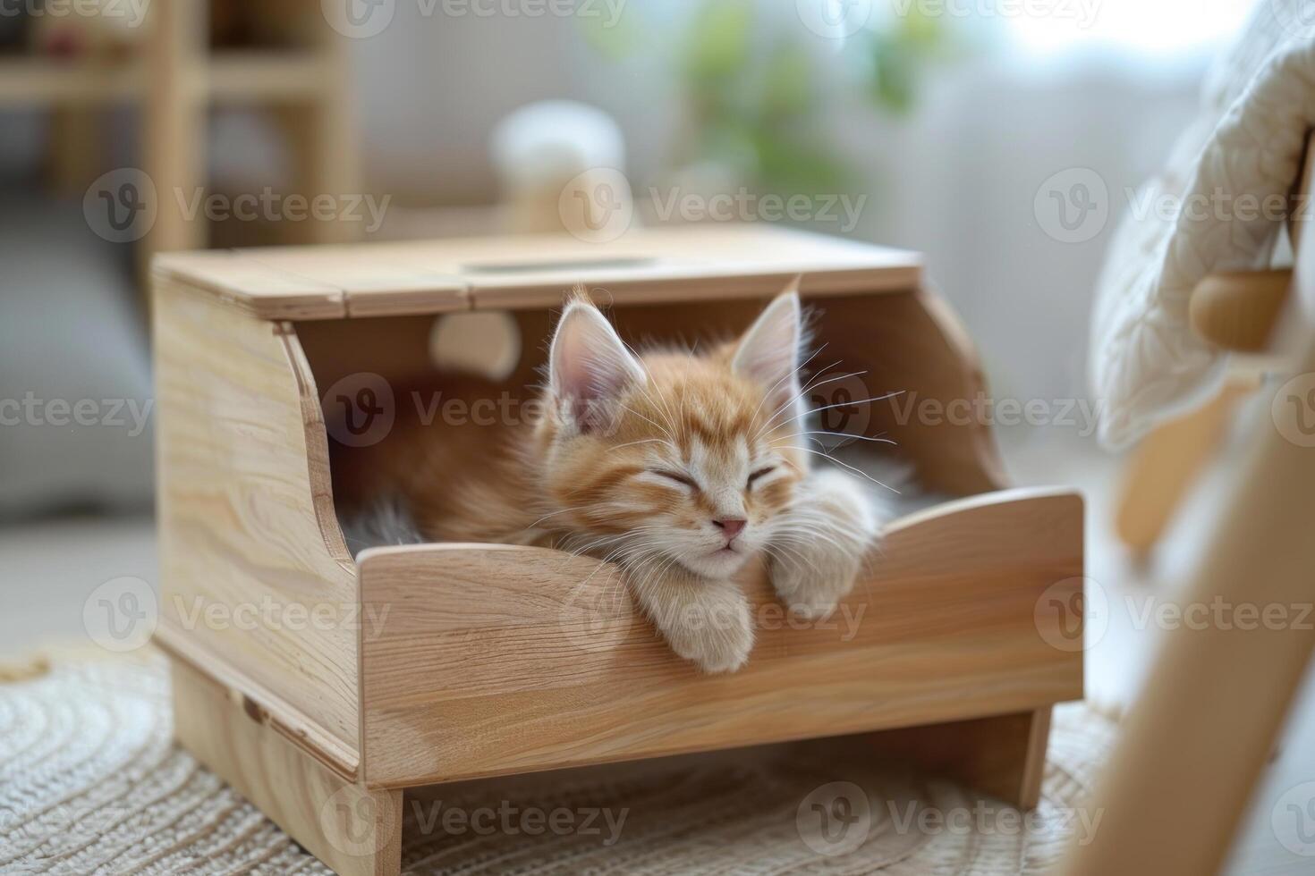 Ginger kitten sleeping peacefully in wooden cat bed photo