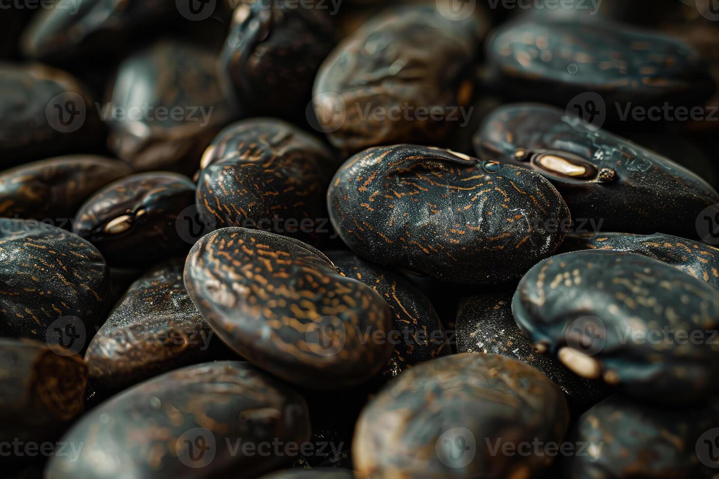 Close up of dry black beans showing texture and detail photo